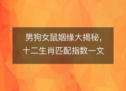 男狗女鼠姻缘大揭秘,十二生肖匹配指数一文看透
