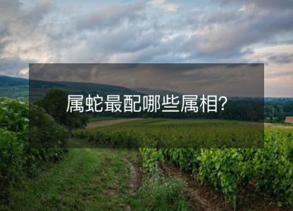 属蛇最配哪些属相?