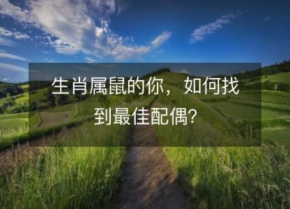 生肖属鼠的你,如何找到最佳配偶?