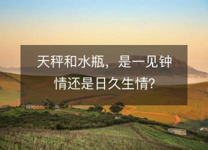天秤和水瓶,是一见钟情还是日久生情?