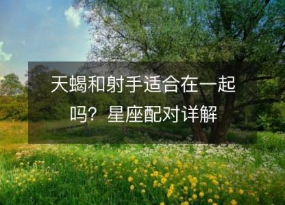 天蝎和射手适合在一起吗?星座配对详解