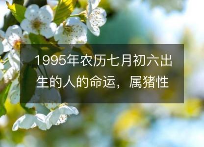 1995年农历七月初六出生的人的命运,属猪性格特点 八字五行