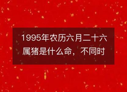 1995年农历六月二十六属猪是什么命,不同时辰八字五行查询