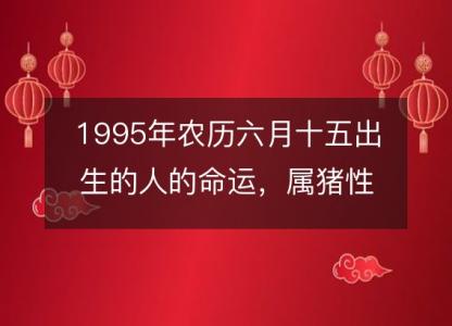 1995年农历六月十五出生的人的命运,属猪性格特点 八字五行