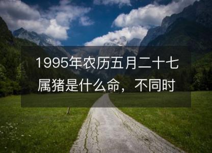 1995年农历五月二十七属猪是什么命,不同时辰八字五行查询