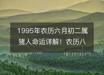 1995年农历六月初二属猪人命运详解!农历八字五行缺什么 婚姻事业