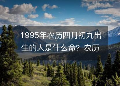 1995年农历四月初九出生的人是什么命?农历生辰八字,不同时辰五行查询