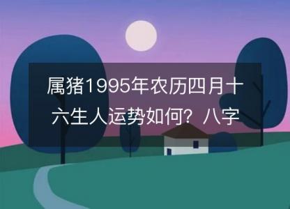 属猪1995年农历四月十六生人运势如何?八字命运五行缺吗!性格详解