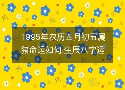 1995年农历四月初五属猪命运如何,生辰八字运势 五行查询