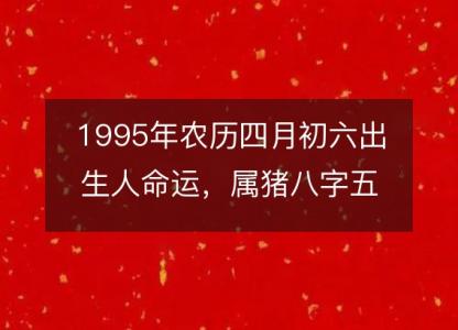 1995年农历四月初六出生人命运,属猪八字五行缺什么 性格感情详解