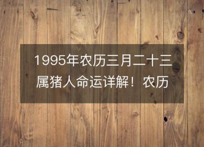 1995年农历三月二十三属猪人命运详解!农历八字五行缺什么 婚姻事业
