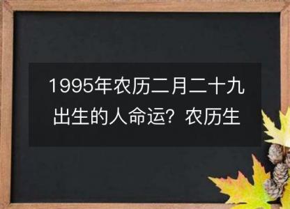 1995年农历二月二十九出生的人命运?农历生辰八字 不同时辰五行详解