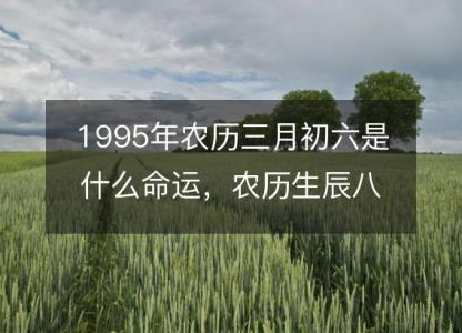 1995年农历三月初六是什么命运,农历生辰八字五行缺吗 事业婚姻