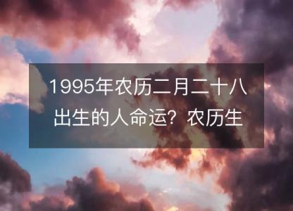 1995年农历二月二十八出生的人命运?农历生辰八字 不同时辰五行详解