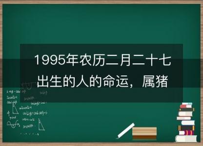 1995年农历二月二十七出生的人的命运,属猪性格特点 八字五行