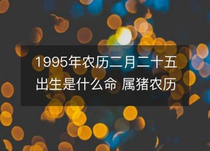 1995年农历二月二十五出生是什么命 属猪农历八字五行解析 性格特点