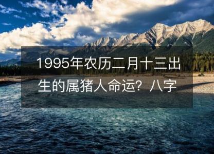1995年农历二月十三出生的属猪人命运?八字五行缺什么!性格详解