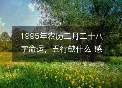 1995年农历二月二十八字命运,五行缺什么 感情婚姻、性格、事业财运