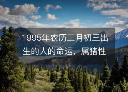 1995年农历二月初三出生的人的命运,属猪性格特点 八字五行