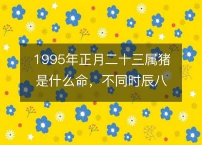 1995年正月二十三属猪是什么命,不同时辰八字五行查询
