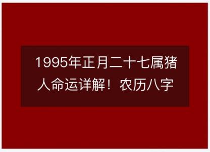 1995年正月二十七属猪人命运详解!农历八字五行缺什么 婚姻事业