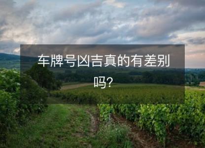车牌号凶吉真的有差别吗?