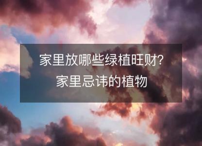 家里放哪些绿植旺财?家里忌讳的植物
